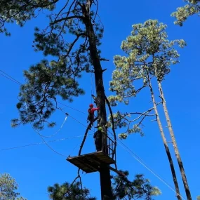 CAMPAMENTO PIPIOL (2)