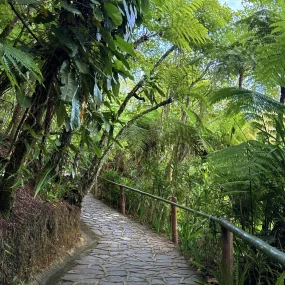 CASCADAS TULIMAN (8)