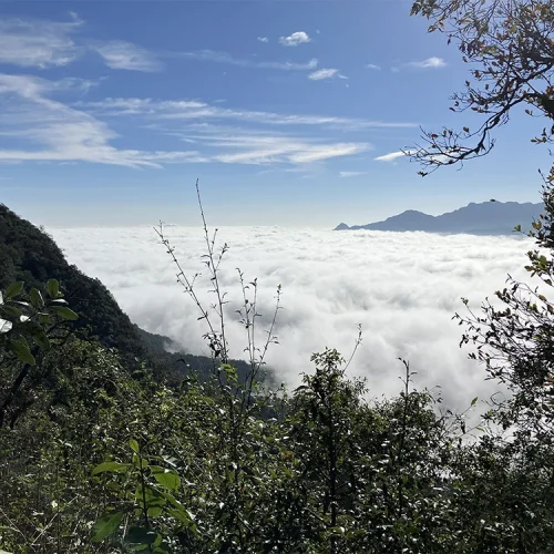 PUENTE COLGANTE Y TIROLESA CERRO CABEZÓN TLATLAUQUITEPEC