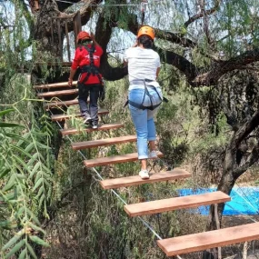 campamento huizaches (4)