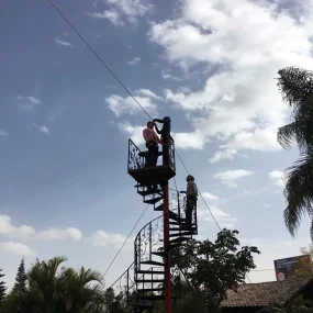 paraiso palmira (1)